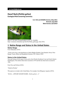 Pethia Gelius (Dwarf Barb) Ecological Risk Screening Summary