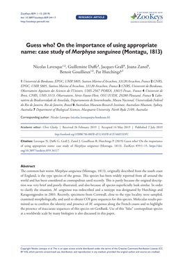 Case Study of Marphysa Sanguinea (Montagu, 1813)