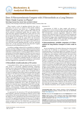 Does N-Nitrosomelatonin Compete with S-Nitrosothiols As a Long