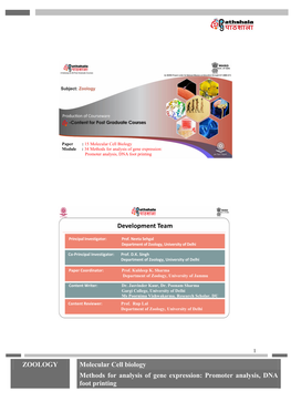 Input Template Epg Pathshala