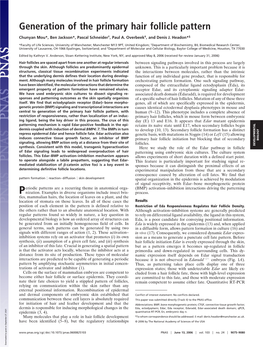 Generation of the Primary Hair Follicle Pattern