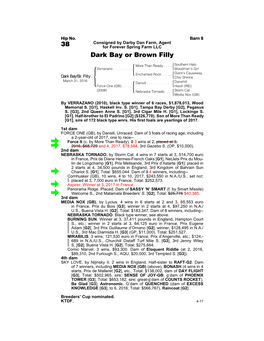 38 for Forever Spring Farm LLC Dark Bay Or Brown Filly