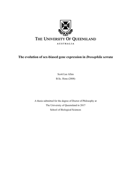 The Evolution of Sex-Biased Gene Expression in Drosophila Serrata