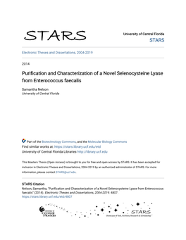 Purification and Characterization of a Novel Selenocysteine Lyase from Enterococcus Faecalis