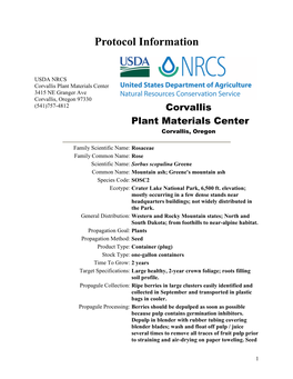 Propagation Protocol for Production of Container Sorbus Scopulina Greene