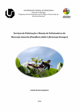Serviços De Polinização E Manejo De Polinizadores Do Maracujá-Amarelo (Passiflora Edulis F. Flavicarpa Deneger)