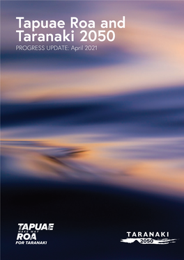 Tapuae Roa and Taranaki 2050 Progress Update