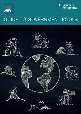 Guide to Government Pools