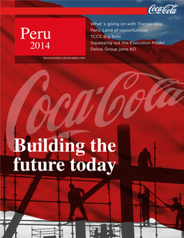 Huaca Pucllana Dresses up with Coca-Cola! a VIP Event Was Held at the Huaca Pucllana, Which Is a Great Adobe and Clay Pyramid, Popular Historical Monument in Lima