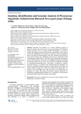 Isolation, Identification and Genomic Analysis of Plesiomonas Shigelloides Isolated from Diseased Percocypris Pingi (Tchang, 1930)