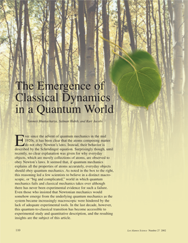 The Emergence of Classical Dynamics in a Quantum World