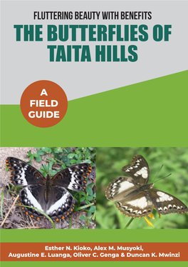 The Butterflies of Taita Hills
