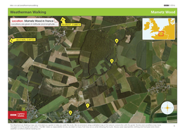 Weatherman Walking Mametz Wood