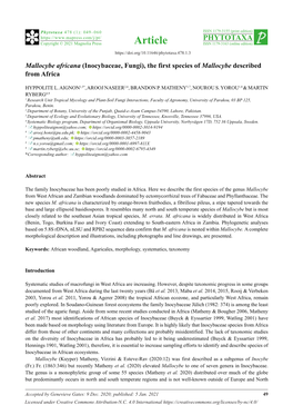 Mallocybe Africana (Inocybaceae, Fungi), the First Species of Mallocybe Described from Africa