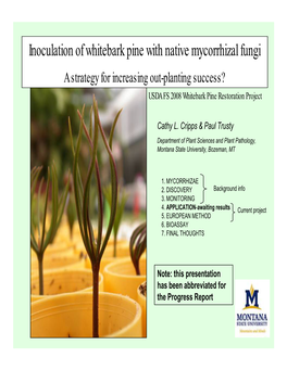 Inoculation of Whitebark Pine with Native Mycorrhizal Fungi a Strategy for Increasing Out-Planting Success? USDA FS 2008 Whitebark Pine Restoration Project