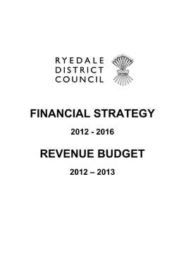 Financial Strategy Revenue Budget