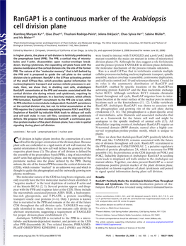 Rangap1 Is a Continuous Marker of the Arabidopsis Cell Division Plane