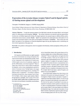 Expression of the Tyrosine Kinase Receptor Epha5 and Its Ligand Ephrin- AS During Mouse Spinal Cord Development