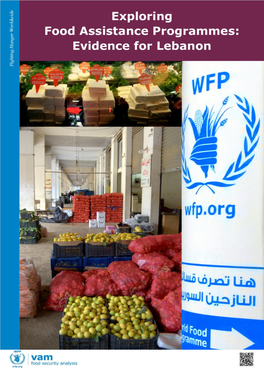 Exploring Food Assistance Programmes: Evidence for Lebanon