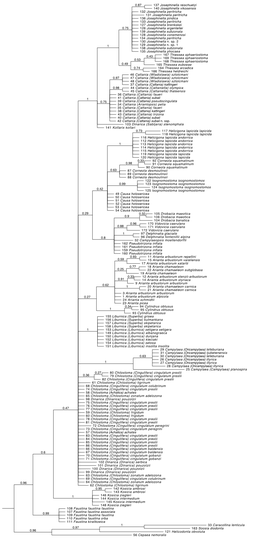 Fig.S1 H3 161