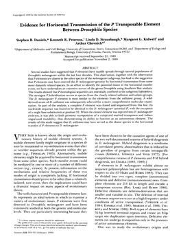 Between Drosophila Species