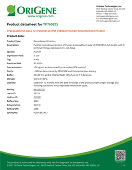 Protocadherin Beta 12 (PCDHB12) (NM 018932) Human Recombinant Protein Product Data