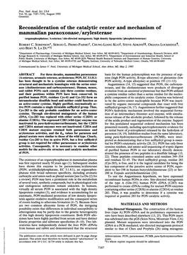 Reconsideration of the Catalytic Center and Mechanism of Mammalian