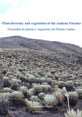 Diversidad De Plantas Y Vegetación Del Páramo Andino