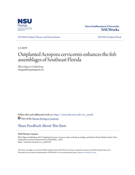 Outplanted Acropora Cervicornis Enhances the Fish Assemblages of Southeast Florida Ellen Dignon Goldenberg Ellengoldenberg16@Gmail.Com