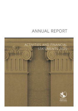 Activities and Financial Statements 2020