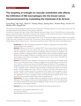 The Targeting of Endoglin on Vascular Endothelial Cells Affects The