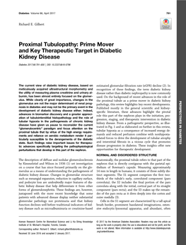 Prime Mover and Key Therapeutic Target in Diabetic Kidney Disease