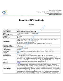 Rabbit Anti-CST9L Antibody-SL14089R