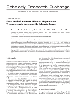 Research Article Genes Involved in Human Ribosome Biogenesis Are Transcriptionally Upregulated in Colorectal Cancer