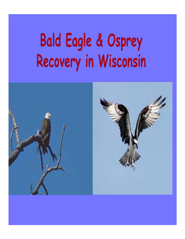 Bald Eagle & Osprey Recovery in Wisconsin