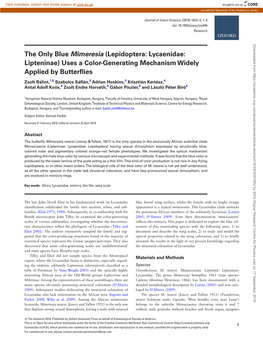 (Lepidoptera: Lycaenidae: Lipteninae) Uses a Color-Generating Mechanism Widely Applied by Butterflies