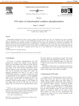 P/O Ratios of Mitochondrial Oxidative Phosphorylation