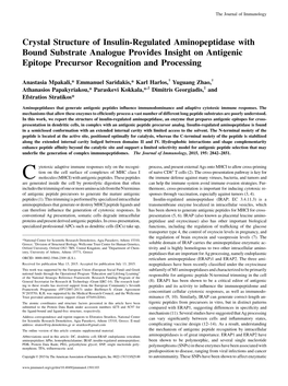 Processing Epitope Precursor Recognition and Analogue Provides