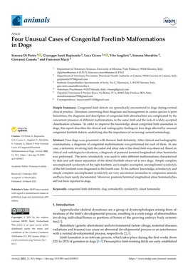 Four Unusual Cases of Congenital Forelimb Malformations in Dogs