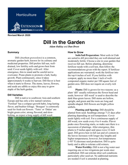 Dill in the Garden Adam Oakley and Dan Drost