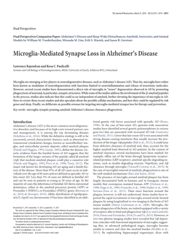 Microglia-Mediated Synapse Loss in Alzheimer's Disease