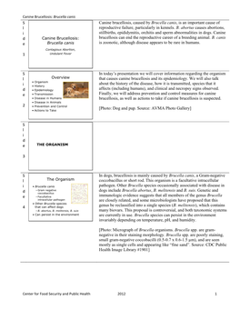S L I D E 1 Canine Brucellosis, Caused by Brucella Canis, Is an Important Cause of Reproductive Failure, Particularly in Kennels