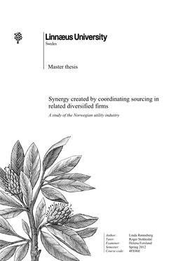 Synergy Created by Coordinating Sourcing in Related Diversified Firms a Study of the Norwegian Utility Industry