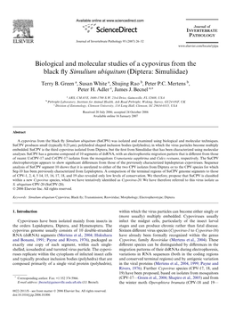 Biological and Molecular Studies of a Cypovirus from the Black Fly