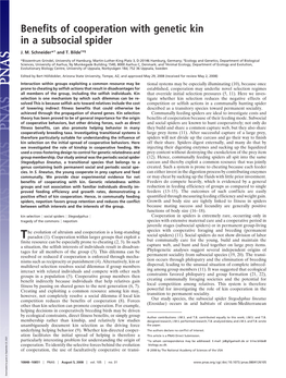 Benefits of Cooperation with Genetic Kin in a Subsocial Spider