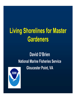 Living Shorelines for Master Gardeners