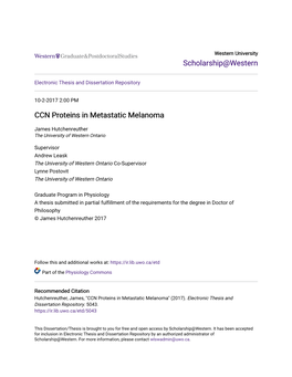 CCN Proteins in Metastatic Melanoma