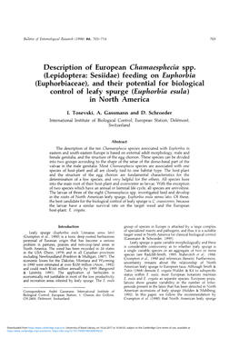 Description of European Chamaesphecia Spp