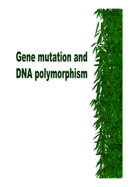Gene Mutation and DNA Polymorphism Outline of This Chapter