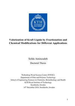 Valorization of Kraft Lignin by Fractionation and Chemical Modifications for Different Applications
